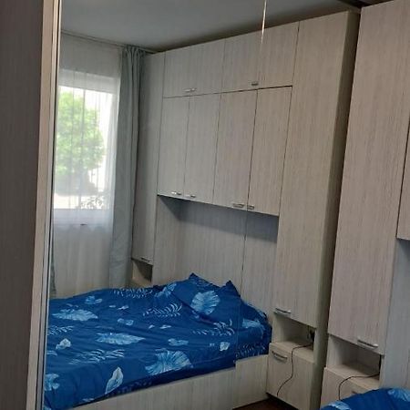 Cozy Nest Apartment Sinnicoara Exterior photo